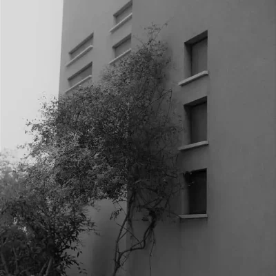 10-nir